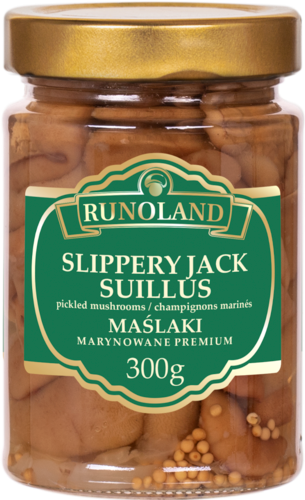 7c72b864fe2473ec812b405d5bb74e81