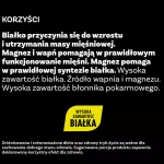 b27e288d5b2549f5b8e9ccc57b8aa1d0