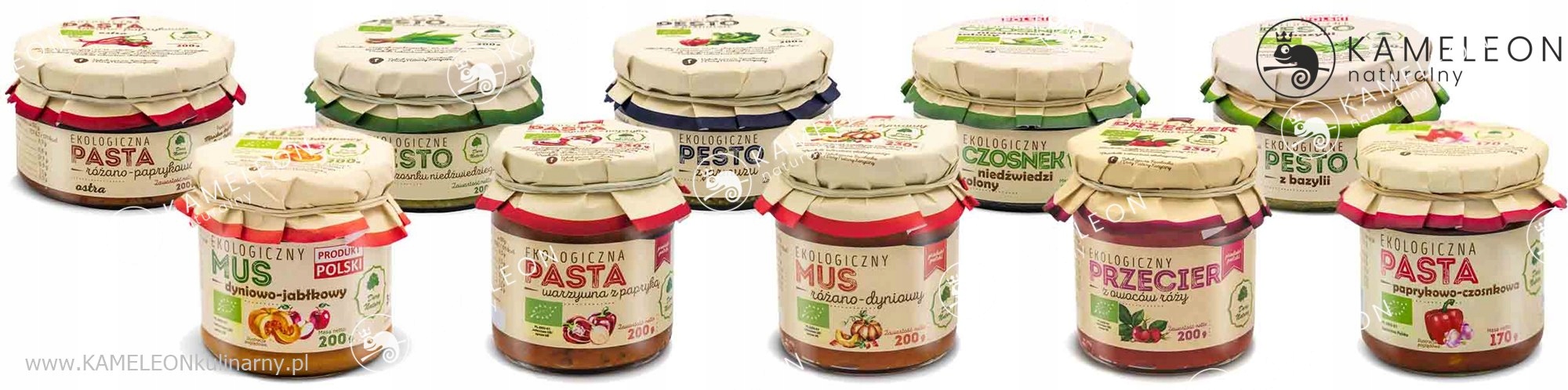 acc1b8e513836418a7ac3516fea12500