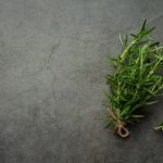 d20dbed75d7f23fa686a0f5f1dcb4859