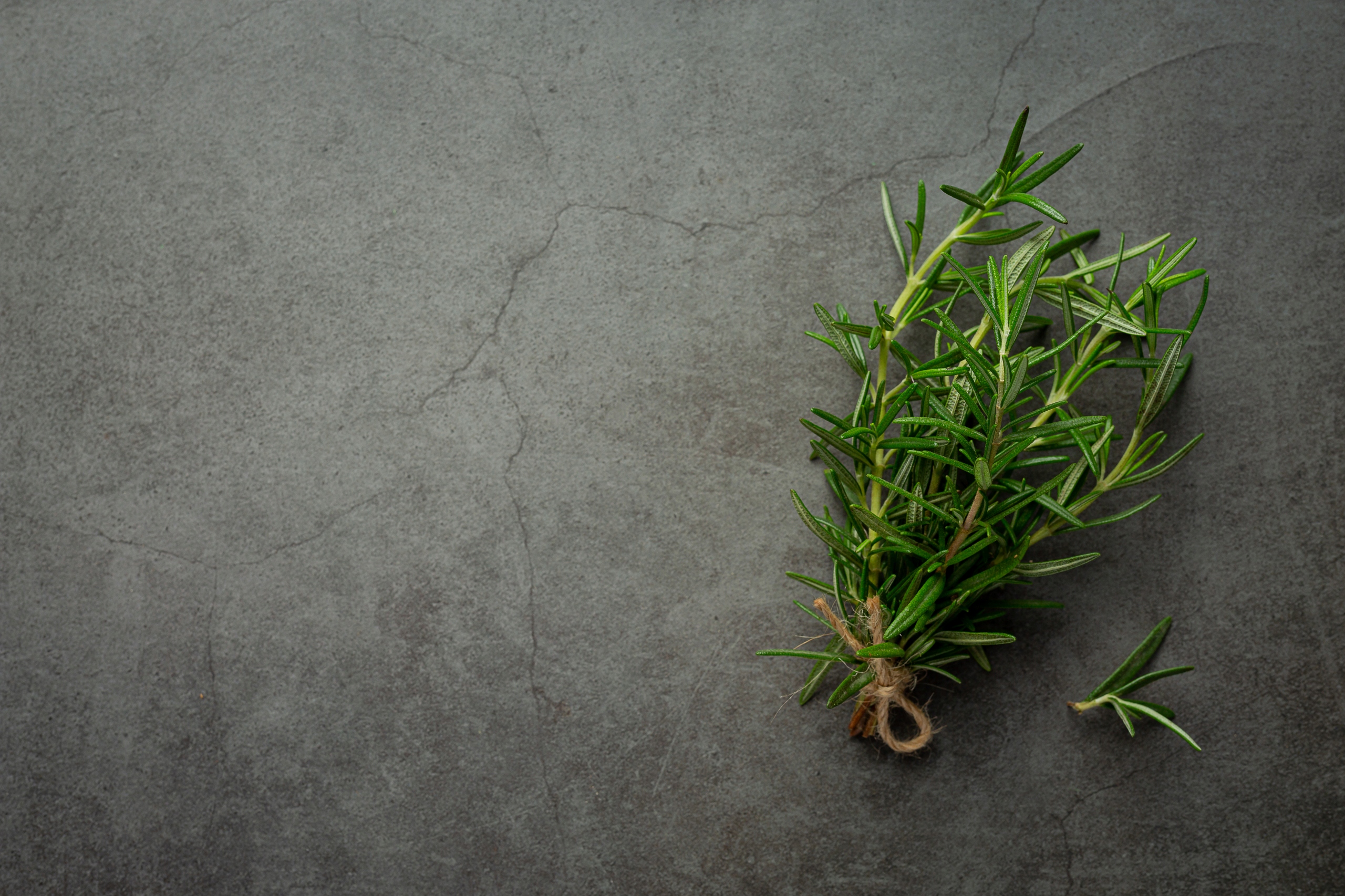 d20dbed75d7f23fa686a0f5f1dcb4859