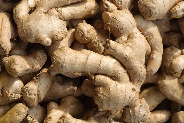 ca89a3b0ffebc965a8f88af74b727076